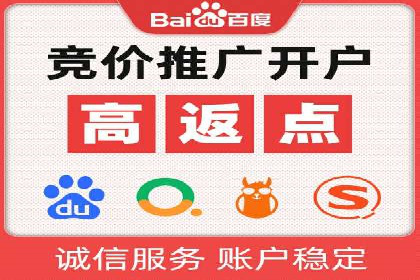 百度推广案例：精准广告投放策略解析